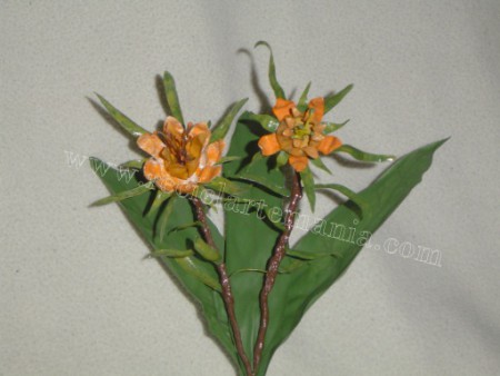 Flores exóticas