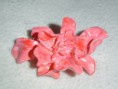 Pregadeira Rosa Matizada